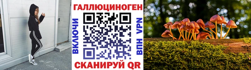 kraken маркетплейс  Дубовка  Псилоцибиновые грибы Psilocybine cubensis  дарнет шоп 